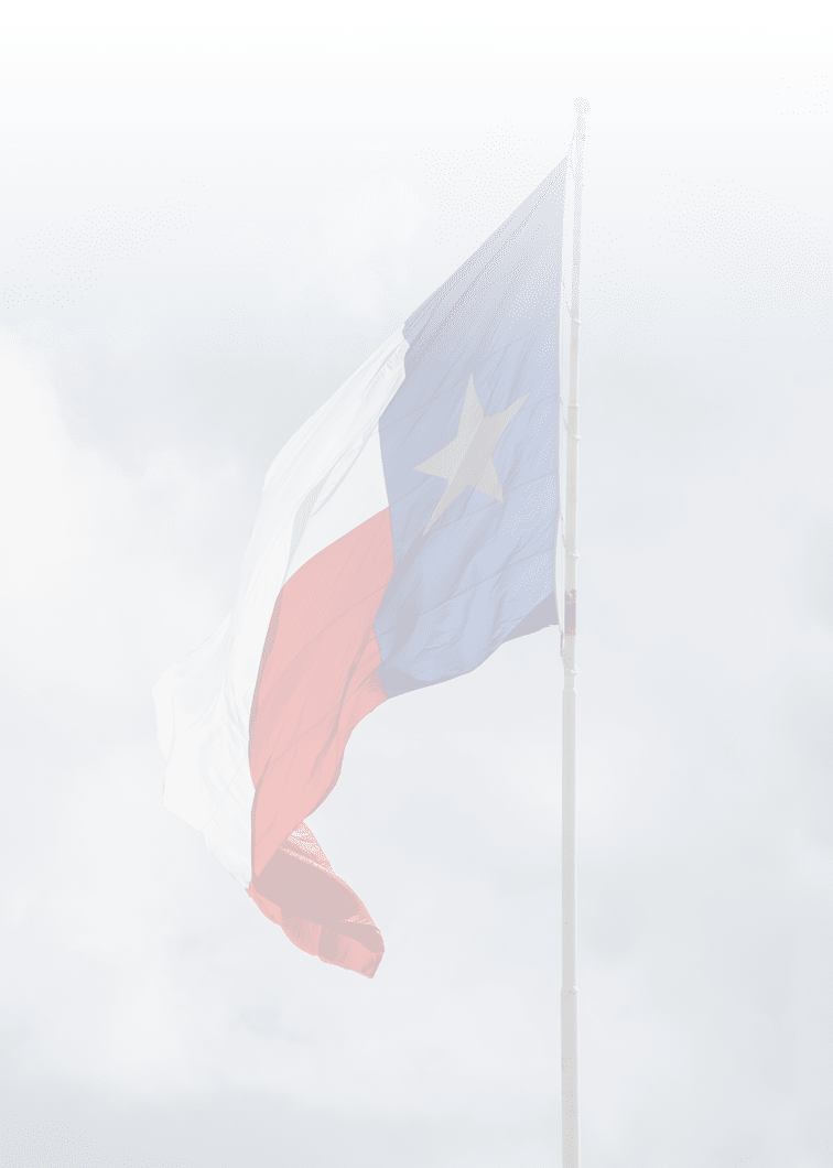 Rippled State Flag Star Flag of the State of Texas, USA
