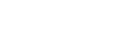 Vision Program