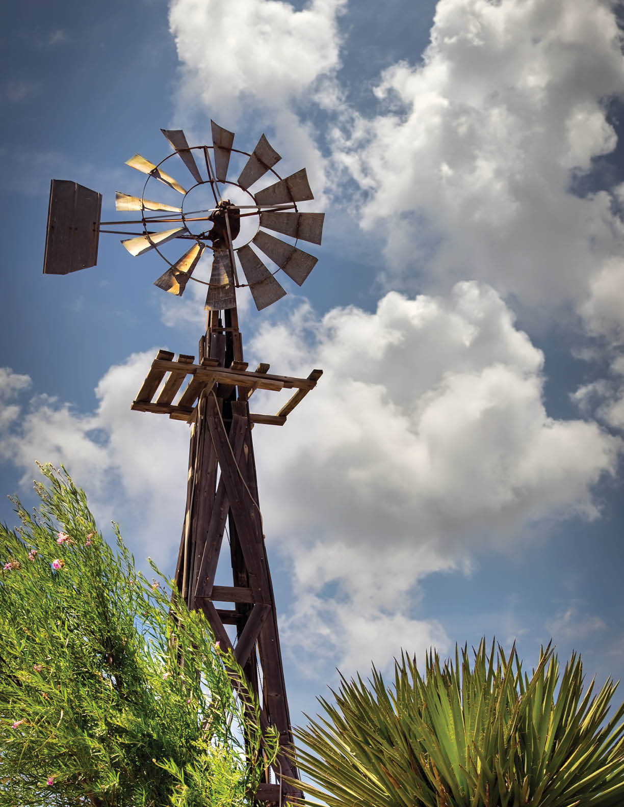 An old windmill in Sierra Blanca, TX.