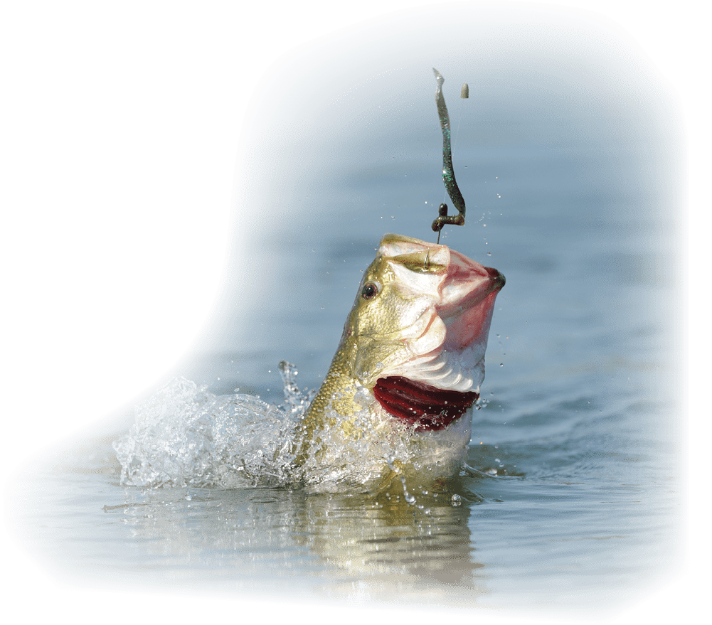 Largemouth bass fishing Strike King Lure plastic worm fish jumping out of water