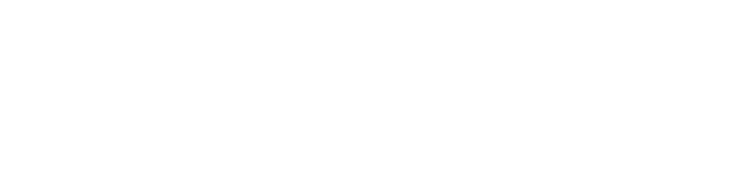 An Overview of the Texas Legislature By Hugh Shine