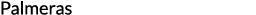 Palmeras