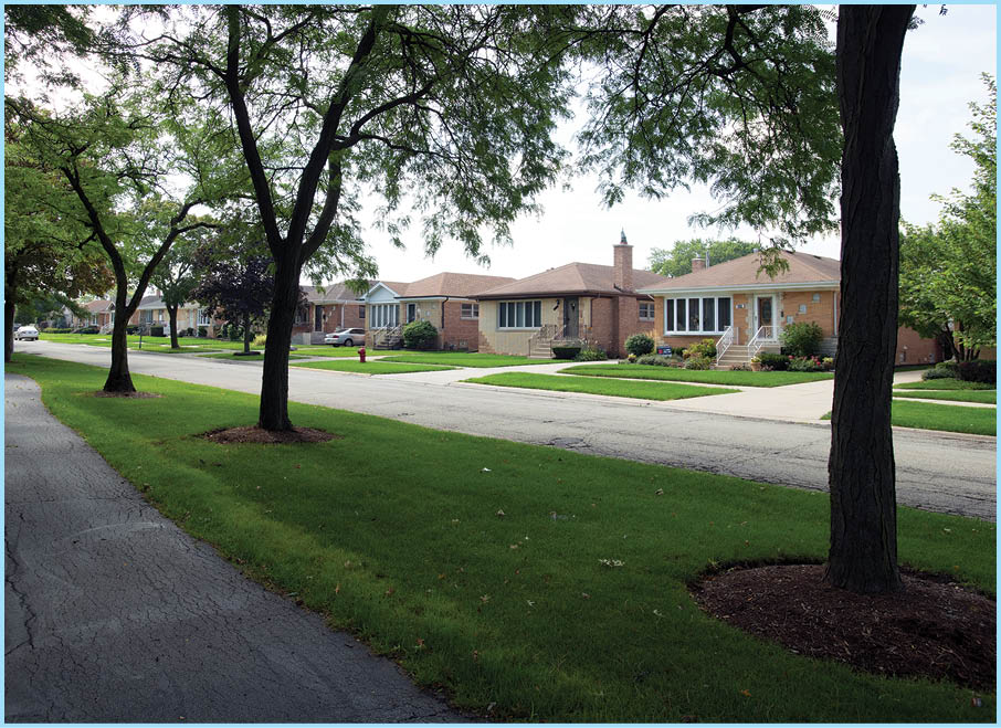 Mark Welsh/mwelsh@dailyherald.com Norridge bungalow style homes with beautiful tree line.