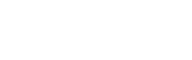 LEADERSHIP EXECUTIVE COMMITTEE: Chairperson: Michelle Sanders, Atlantic Bay Mortgage Group Vice Chairperson: Jeffrey ...