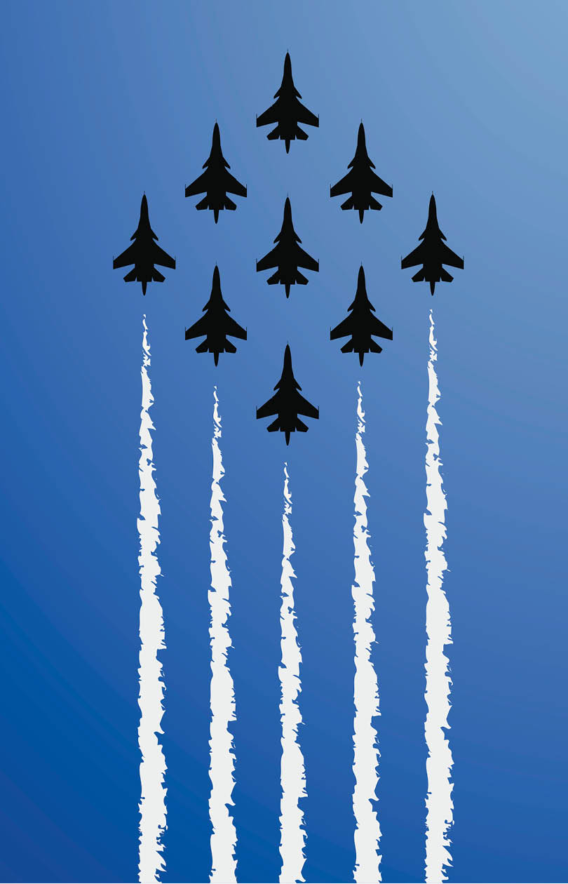 vector airplane show