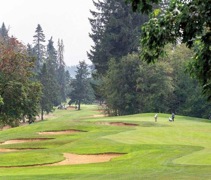 A man is playing golf on a green course. Description generated by AI