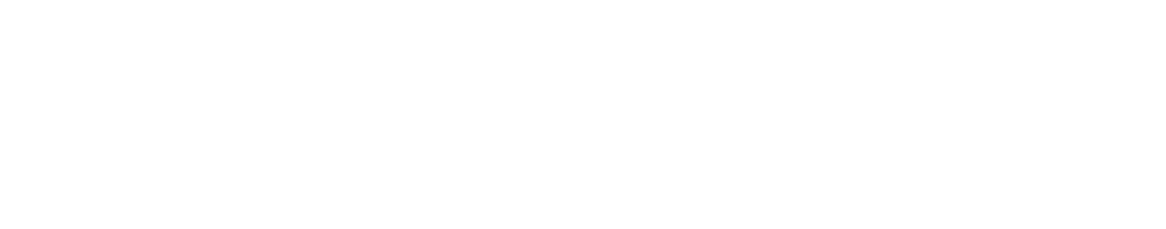 Media Partner and Ally