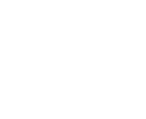 “(I chose to) focus on being a voice for my Black and Brown Trans family because … I want us to walk into the world k...