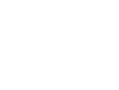  We helped a lot of companies transition to work-from-home and back, all while keeping their cyber-security as secure   