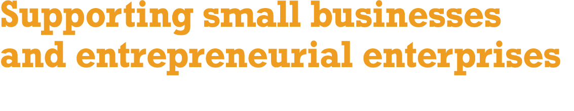 Supporting small businesses and entrepreneurial enterprises 