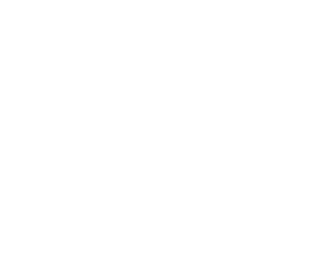 “All the veteran nonprofits focus on the vets, and community nonprofits on the communities. So, I purposely tried to ...