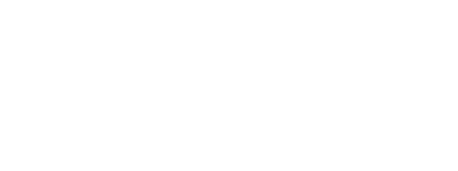 Celebrating Pride in Sports 