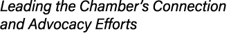 Leading the Chamber’s Connection and Advocacy Efforts