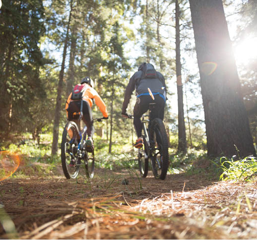 Biker couple riding mountain bike in the forest at countryside