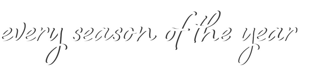 every season of the year