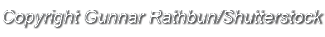 Copyright Gunnar Rathbun Shutterstock