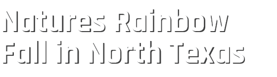 Natures Rainbow Fall in North Texas 
