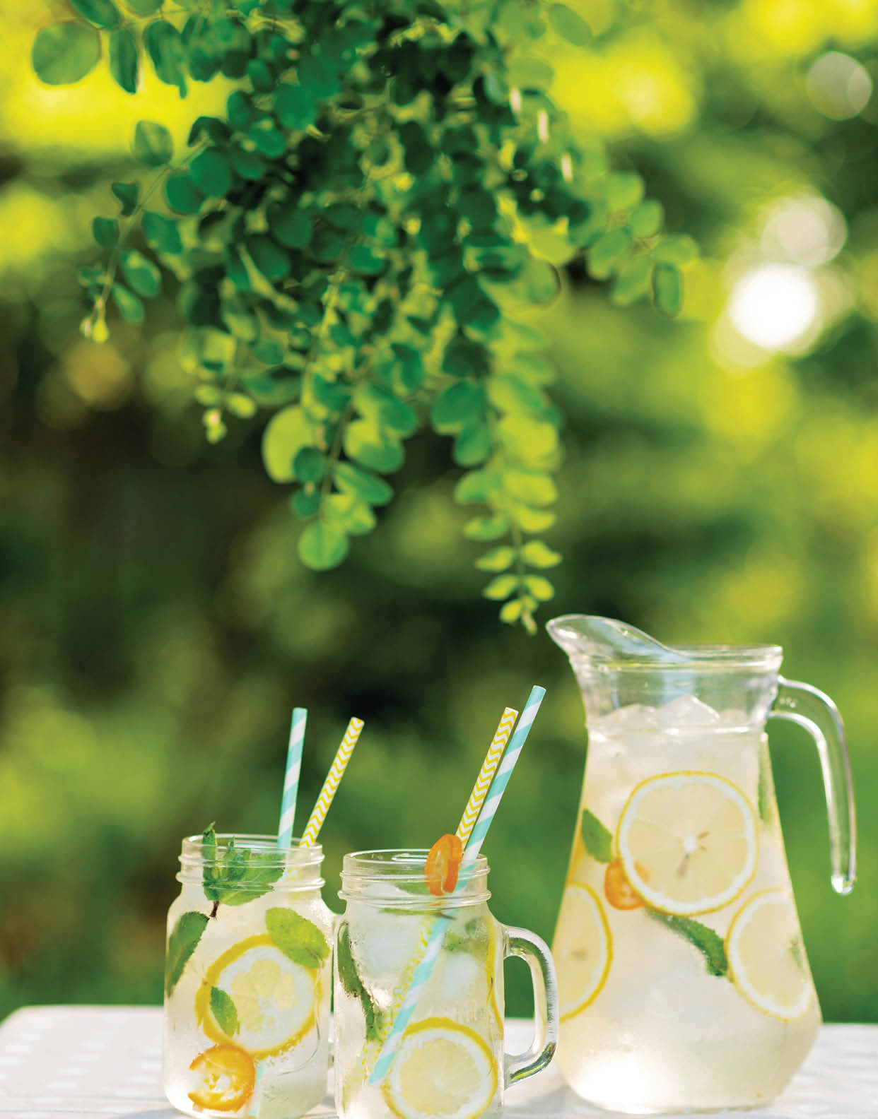 Lemonade refreshing drink in a jug and jars with lemons, fresh mint and ice on a garden table  Summer picnic outdoors  Soft selective focus 