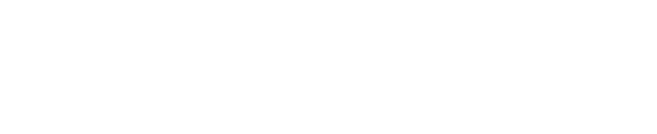 See & Do