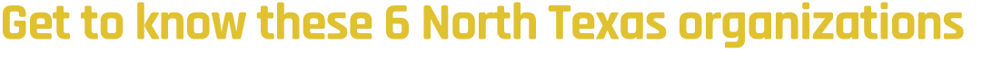 Get to know these 6 North Texas organizations