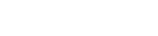 VISIT DALLAS