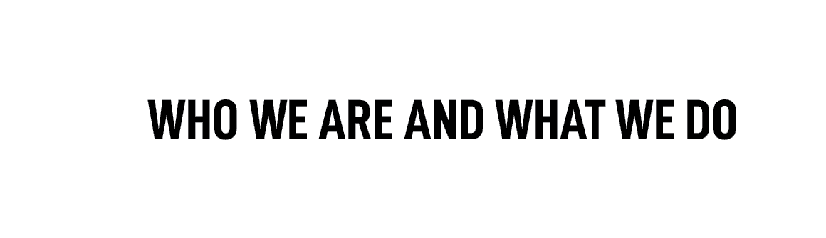 WHO WE ARE AND WHAT WE DO