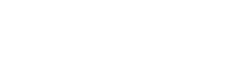 WHAT WE DO LGBT Leadership Institute