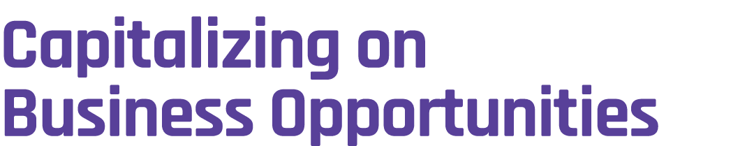 Capitalizing on Business Opportunities 