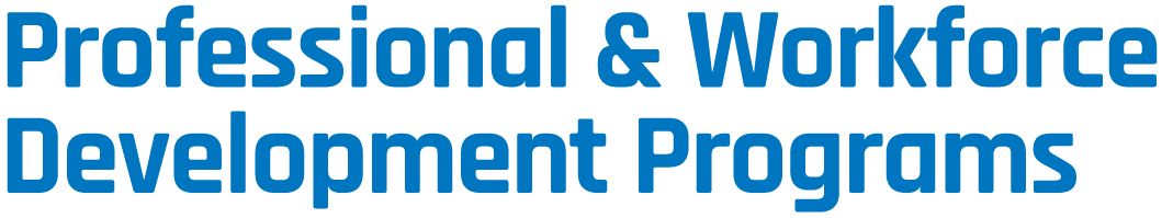Professional & Workforce Development Programs
