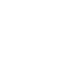 The Southern Illinois Home & Outdoor Expo Each year, in February, we fill the halls of the Times Square Mall with doz...