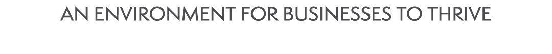 AN ENVIRONMENT FOR BUSINESSES TO THRIVE