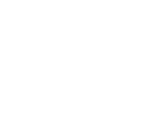 Home Run Bat Company EaglePicher Technologies La Boussole Medical Spa