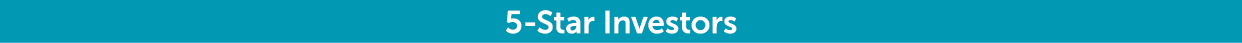 5 Star Investors