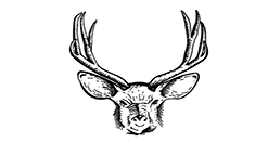 Rectangle