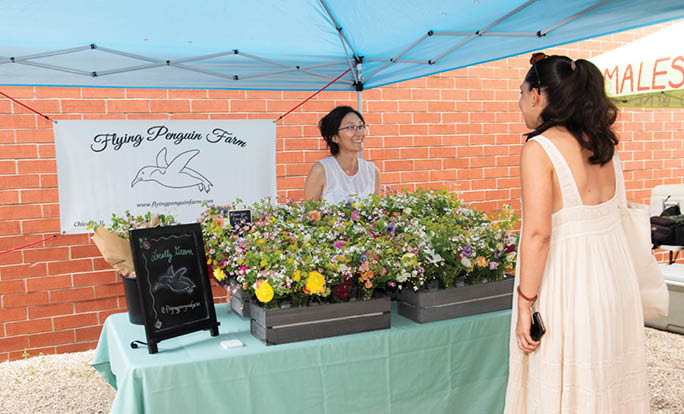 2024-06-04 Lakeview Roscoe Village Chamber of Commerce | Low Line Farmer’s Market Chicago, IL www.lrvcc.com   All images © Angela B. Garbot Mandatory credit Angela Garbot Photography Media/Personal Use Only http://www.angelagarbot.com http://www.facebook.com/AGarbot http://www.instagram.com/AngelaGarbotPhotography http://www.twitter.com/PhotosByGarbot http://www.linkedin.com/in/angelagarbotphotography 773.383.8858 | angie@angelagarbot.com