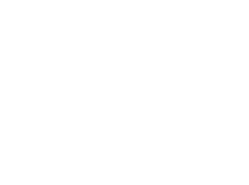 Lakeview Roscoe Village
