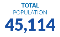 Total POPULATION 45,114