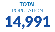 Total POPULATION 14,991