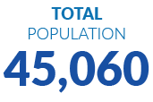 Total POPULATION 45,060