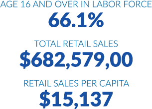Age 16 and over in labor force 66.1% Total retail sales $682,579,00 Retail sales per capita $15,137