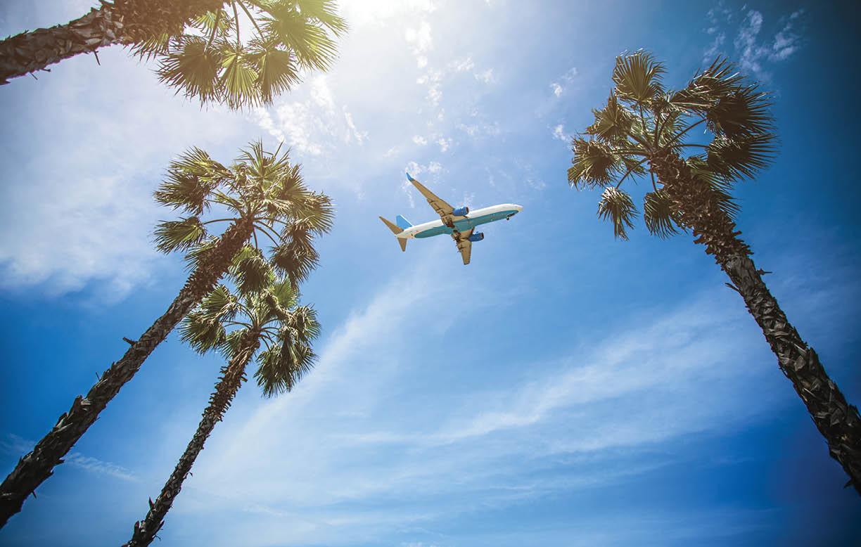 Passenger airplane flying above palm trees