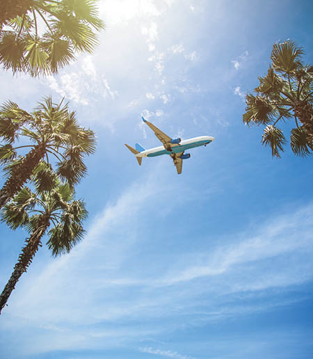 Passenger airplane flying above palm trees