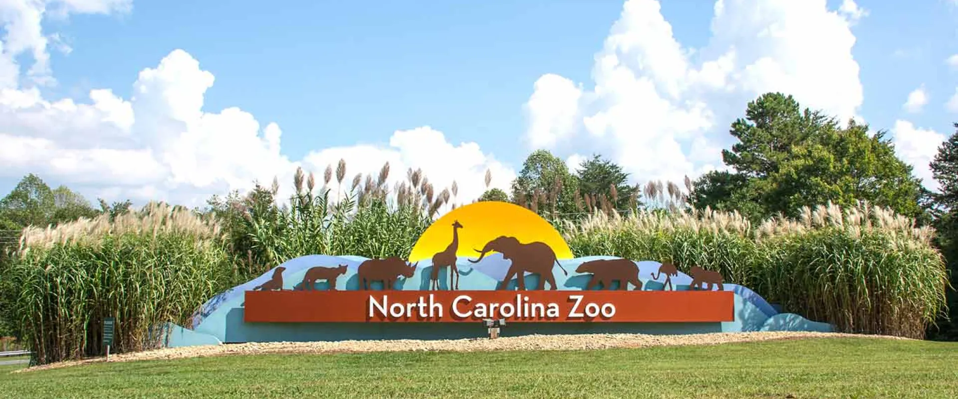 A zoo sign is displayed in front of a field of tall grass. AI generated content