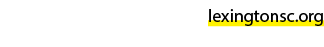 lexingtonsc.org