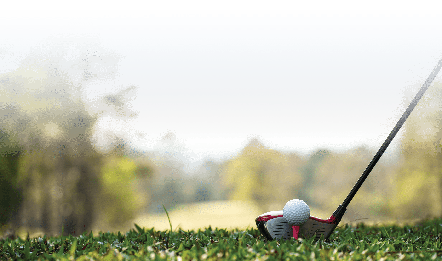 Golf clubs and golf balls on a green lawn in a beautiful golf course with morning sunshine. golf ball on green grass ready to hit on golf course background.