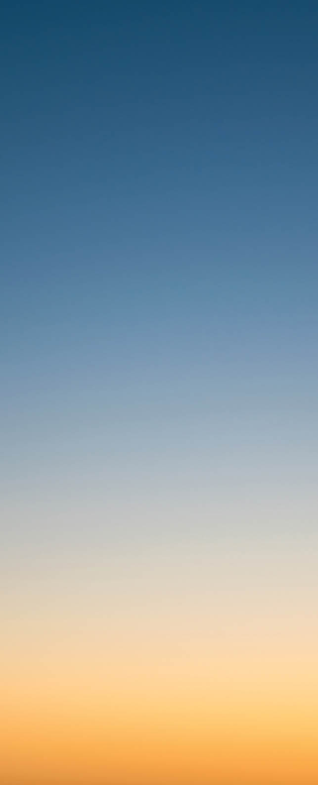 Sunset sky as background.