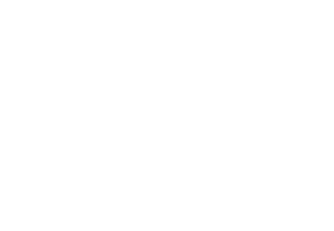 “Providing South Carolina homes and businesses with reliable energy at a rate they can afford is job one.”