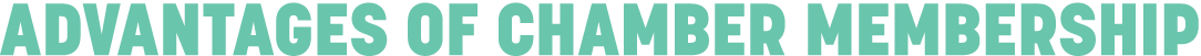 ADVANTAGES OF CHAMBER MEMBERSHIP