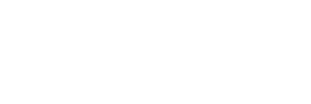 TRANSPORTATION DEMOGRAPHICS