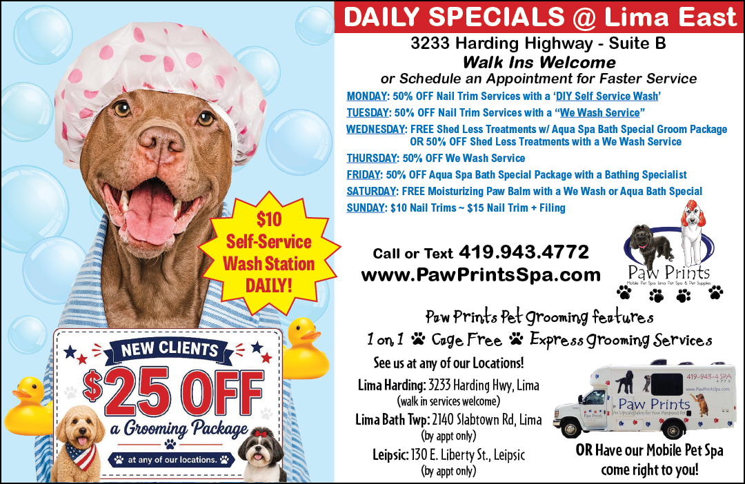 A happy dog wearing a striped hooded towel is featured alongside a promotional flyer for a pet grooming business offering daily specials, discounts for new clients, and self-service wash station details. Description generated by AI